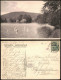 Ansichtskarte Greiz Parksee - Schwäne 1905 - Greiz