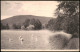 Ansichtskarte Greiz Parksee - Schwäne 1905 - Greiz