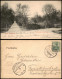 Ansichtskarte Bad Nauheim Partie  Im Park 1903  Ankunftsstempel Sachsenhausen - Bad Nauheim