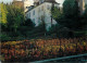 Vignes - Paris - Les Vignes De Montmartre - CPM - Voir Scans Recto-Verso - Wijnbouw