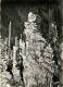 48 - Meyrueis - Grotte De L'Aven Armand - Stalagmite Monumentale Ou Bord Du Gouffre Surmontée Par Le Canard - Mention Ph - Meyrueis