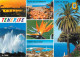 Espagne - Espana - Islas Canarias - Tenerife - Multivues - CPM - Voir Scans Recto-Verso - Tenerife