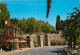 83 - Bormes Les Mimosas - L'arrivée à Bormes - Fleurs - CPM - Voir Scans Recto-Verso - Bormes-les-Mimosas