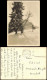 Ansichtskarte  Winter-Ansichtskarte (Schnee/Eis) Stimmungsbild 1955 - Zonder Classificatie