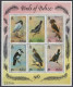 Belize - Mini-sheet - Birds Of Belize - Mi Block 18 - 1980 - MNH - Belice (1973-...)