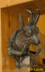 Art-antiquité_sculpture Bois_86_sculptures Têtes De Chamois - Madera