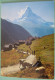 Zermatt (VS) -  Schafe Findeln Matterhorn - Mont Cervin - Zermatt