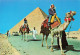 EGYPTE - Giza - The Biggest Pyramid At Giza - Dromadaires - Route - Voiture- Animé - Carte Postale - Gizeh