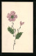 AK Blume Aus Lebensmittel-Bezugskarten, Collage  - Briefmarken (Abbildungen)