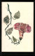AK Blume Mit Blättern, Briefmarkencollage  - Briefmarken (Abbildungen)