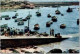 BRETAGNE En Couleurs. -  Petit Port De Pêche Sur La Cote Bretonne ( Personnages Et Bateaux ).          Non Circulée - Bretagne