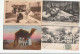 Delcampe - Lot De 37 Cartes D' ALGERIE  Dont 17   SCENES ET TYPES - Escenas & Tipos