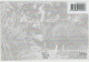 Australia QUEENSLAND QLD Cassowaries & Chicks DAINTREE VILLAGE Murray Views GEN552 Postcard C2010s - Sonstige & Ohne Zuordnung