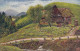 De PERTHES, Am Wiesenbach (Schwarzwald) Gl1918 #E0478 - Pintura & Cuadros