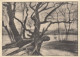 VINCENT VAN GOGH Study Of A Tree Ngl #D9670 - Pintura & Cuadros