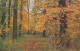 Pfingsten-Wünsche Mit Herbstlichem Wald Gl1910? #E0965 - Pentecoste