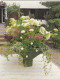 Trog Mit Sommer-Blumen Ngl #E1629 - Andere & Zonder Classificatie