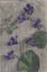 Veilchenblüten Gl1906 #E1819 - Autres & Non Classés