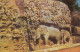 Indien, Architecture Of Malabalipuram, Ngl #E4476 - Andere & Zonder Classificatie