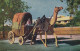 Indien, Camel Cart Ngl #E4473 - Sonstige & Ohne Zuordnung