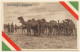 Somalia / Italian Colony: Natives & Camel Caravan (Vintage PC ~1920s) - Somalië