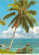 JA, Coconut Pickers Ngl #E6580 - Altri & Non Classificati