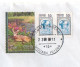 Russie Faon 2008 Lettre Recommandée Pour La France Biche Cerf Bambi - Russia 2008 Fawn Registred Letter To France - Game