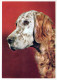 HUND Tier Vintage Ansichtskarte Postkarte CPSM #PAN796.A - Hunde