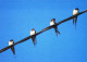 BIRD Animals Vintage Postcard CPSM #PAN122.A - Oiseaux