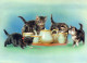 KATZE MIEZEKATZE Tier Vintage Ansichtskarte Postkarte CPSM #PAM480.A - Katzen