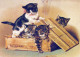 KATZE MIEZEKATZE Tier Vintage Ansichtskarte Postkarte CPSM #PAM430.A - Katten