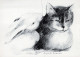 GATTO KITTY Animale Vintage Cartolina CPSM #PAM393.A - Katten