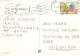 GATO GATITO Animales Vintage Tarjeta Postal CPSM #PAM247.A - Gatos