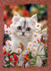 GATO GATITO Animales Vintage Tarjeta Postal CPSM #PAM082.A - Katten