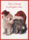 DOG Animals Vintage Postcard CPSM #PBQ658.A - Hunde