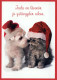 DOG Animals Vintage Postcard CPSM #PBQ658.A - Hunde