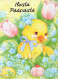 PÂQUES ŒUF Vintage Carte Postale CPSM #PBO204.A - Easter