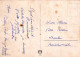 OSO Animales Vintage Tarjeta Postal CPSM #PBS171.A - Beren
