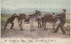 DONKEY Animals Children Vintage Antique Old CPA Postcard #PAA090.A - Donkeys
