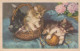 KATZE MIEZEKATZE Tier Vintage Ansichtskarte Postkarte CPA #PKE755.A - Gatos
