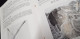 Delcampe - Livret FERGUSON CHARRUES LABOURS EN PLANCHES MASSEY HARRIS Tracteur Matériel Agricole Agriculture Culture Scène - Other & Unclassified