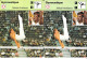 GF1985 -  FICHES EDITION RENCONTRE - GYMNASTIQUE - Gymnastiek