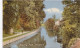 Kayling Path, Thetford - Norfolk - Unused Saucy Postcard - N1 - Norwich