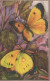 BUTTERFLIES Vintage Postcard CPSM #PBZ949.GB - Butterflies