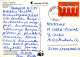 FLORES Vintage Tarjeta Postal CPSM #PAS419.ES - Fleurs