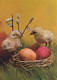 PÂQUES POULET ŒUF Vintage Carte Postale CPSM #PBO694.FR - Easter