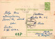 FLEURS Vintage Carte Postale CPSM #PAR699.FR - Fleurs