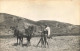 CARTE PHOTO 1917 - ALBANIA Environs De Pogradec - Paysans Et Ses Chevaux - Albanien