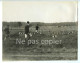 CHASSE à COURRE Vers 1930 Venerie Chiens Meute Photo 17,9 X 22,8 Cm - Autres & Non Classés