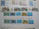 Delcampe - STAMP ITALIA, Lot TIMBRES ITALIEN, Timbres Catégorie Portrait Art Animaux...  ...ref N5/40/8 - Autres & Non Classés